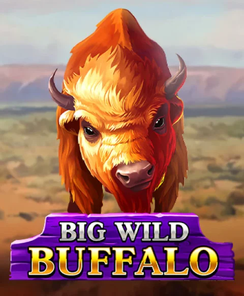 Play Big Wild Buffalo at Wom Bet Casino